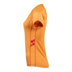 Remera Aeris 3 Polartec® Delta Aeróbica Mujer