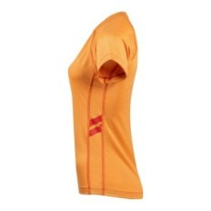Remera Aeris 3 Polartec® Delta Aeróbica Mujer