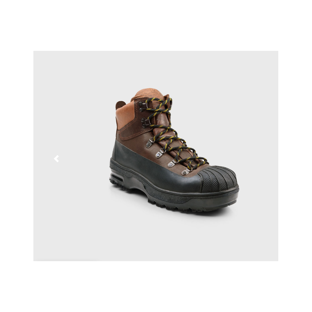 Botin De Seguridad