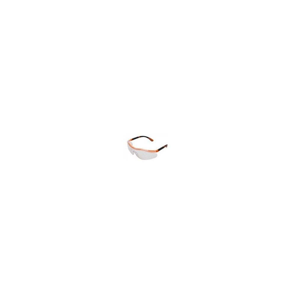 Anteojo Mod. Kublai Transparente Af (Antiempaño) – Marca Libus.